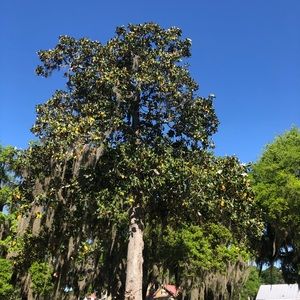 Meet your Posher, Clayton